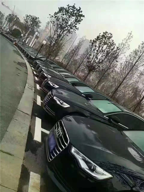 奥迪车队