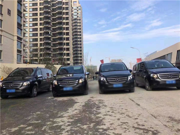 奔驰威霆车队(图1)